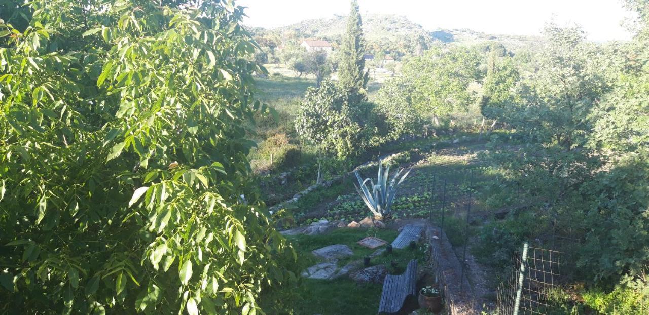 Casa Da Vizinha, Quinta Das Memórias Santo António das Areias Exterior foto