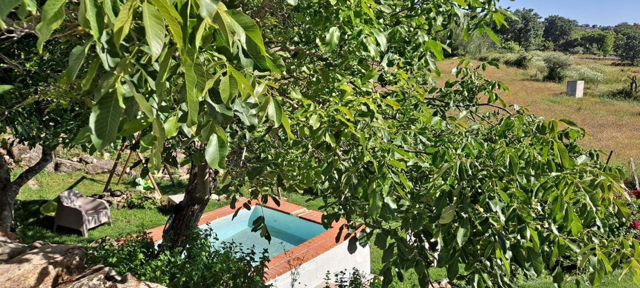 Casa Da Vizinha, Quinta Das Memórias Santo António das Areias Exterior foto